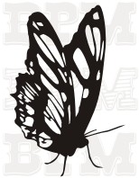 /album/hmyz/hmyz-21-jpg/